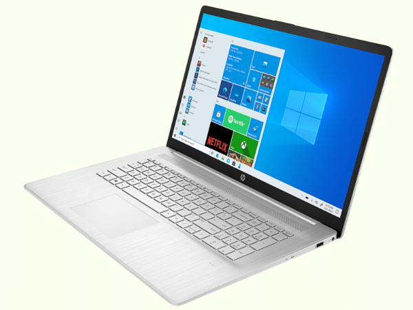 Laptop HP 17-cp0010nr (AMD Athlon™ Silver 3050U/ RAM 4GB/ 256GB SSD/ 17.3" HD+/ Windows 10 Pro)